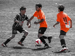 九游官网入口活动-NBA球员训练营活动，nba球员训练营活动安排